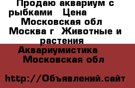 Продаю аквариум с рыбками › Цена ­ 7 000 - Московская обл., Москва г. Животные и растения » Аквариумистика   . Московская обл.